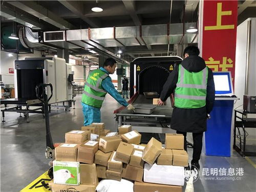 关邮协同创新 赋能云南国际物流新格局——昆明海关与云南邮政共建监管运营新模式侧记
